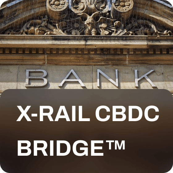 Multi-rail Settlement